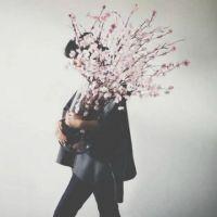 like. 不计较亦无求原来未足