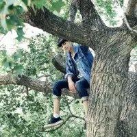 麋鹿 曾经的幸福，现在回忆