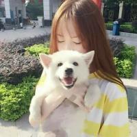 请你别悄悄松开你的梦