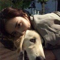 提裙 我没找你只是想知道你