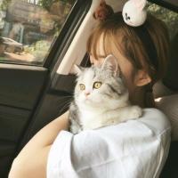 算命书生 你若知我不懂挽留 能