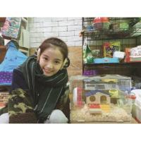 北甍 如果我死了该多好，因