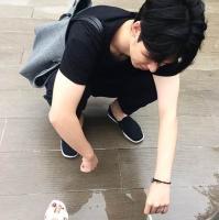 是敌不为友 爱是一万公顷的森林