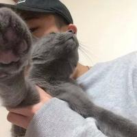 十年如一日。 In fact I