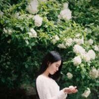 繁花落尽，终究是伤 你走，就别在回头。