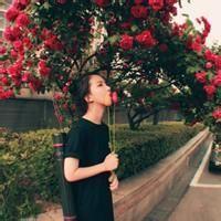花。 我们会消失在时光里，