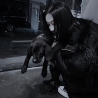 你不是我，你不用懂得