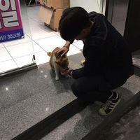 扶着往事走 我不浪也不安稳 却再