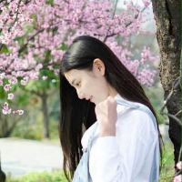 4 你走的时候我没用眼泪