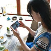 但愿以后的每个春夏秋