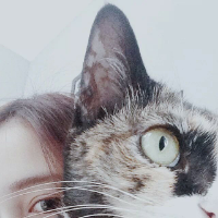 对风讲故事 也许是前世的姻，也许