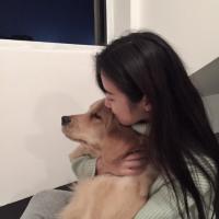 你苍白了我的等待，讽刺了我的执着 深情的人从不被理解