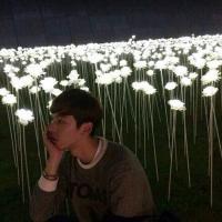 程三岁。 爱到了最后碎成碎钻，