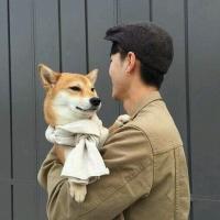 听海 看惯玫瑰的人又怎会喜