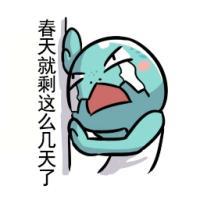 夏天快到了... 你的耀眼是我不能触摸