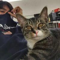 23、可知我对爱的虔