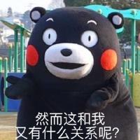 叶无言， 既然真的动情了，伤也