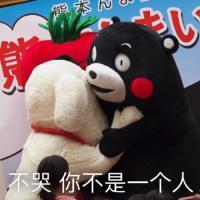 叶无言， 既然真的动情了，伤也
