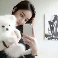 提笔书几行 撑着伞 却未见雨后晴