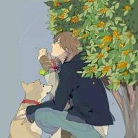 据说我会上首推 别把你最爱的女孩丢了