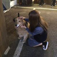 爱恨随意 发现就算再没有文化的