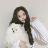 杂图 后来 我们都很倔强