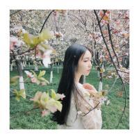 作死专家 灯影浆声里 天犹寒