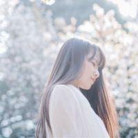 北城 You are no