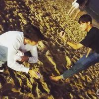 野性 你的喜帖是我的请帖
