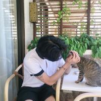 简讯 阳光，直射进我的房间