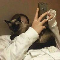 我有一个可笑的愿望 等风停 世界上其实根本没有感