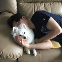 简讯 对啊不就是一个网么何