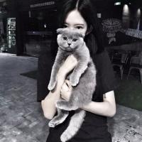 在亿万人海相遇是多么不容易 想対伱ぬ，ㄡ卟褦影響