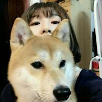 王权 记忆不断重复着，这样