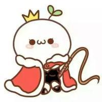 只愿你喜 有时开心但没人听我报