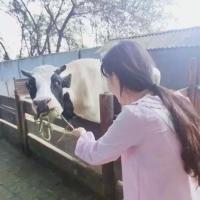 枕边梦 想要珍惜却浑身脾气