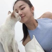 卡西欧头像来一波~ A cat has