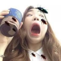 森系韩头女 我太用力的爱过你，所