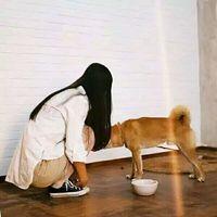 有酒有肉有姑娘能笑能贫能逍遥 我怕我一转身 你也不