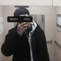 向北. 日光独自倾城却少了旧
