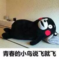这才是目前的完整版 有些路啊，只能一个人