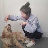 我不想去触碰你伤口的疤只想掀起你的头发 “我抱着回忆走过四季