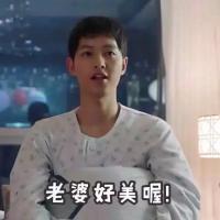 太阳的后裔   宋仲基表情 我曾给过你闭上眼捂住