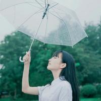 南风知我意 “你的一句明天见 让