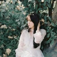 南风知我意 “你的一句明天见 让