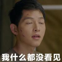 宋老公表情包 喜欢不一定非得在一起