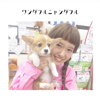 So Cute 也许我不能陪你一起走