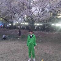 不是这样 爱上一个认真的消遣，