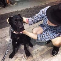 森野 该是无忧的我如今却沧