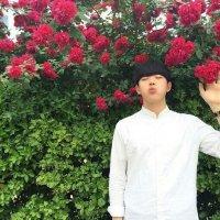 暖男代表 半生戎马，只得汝一眼